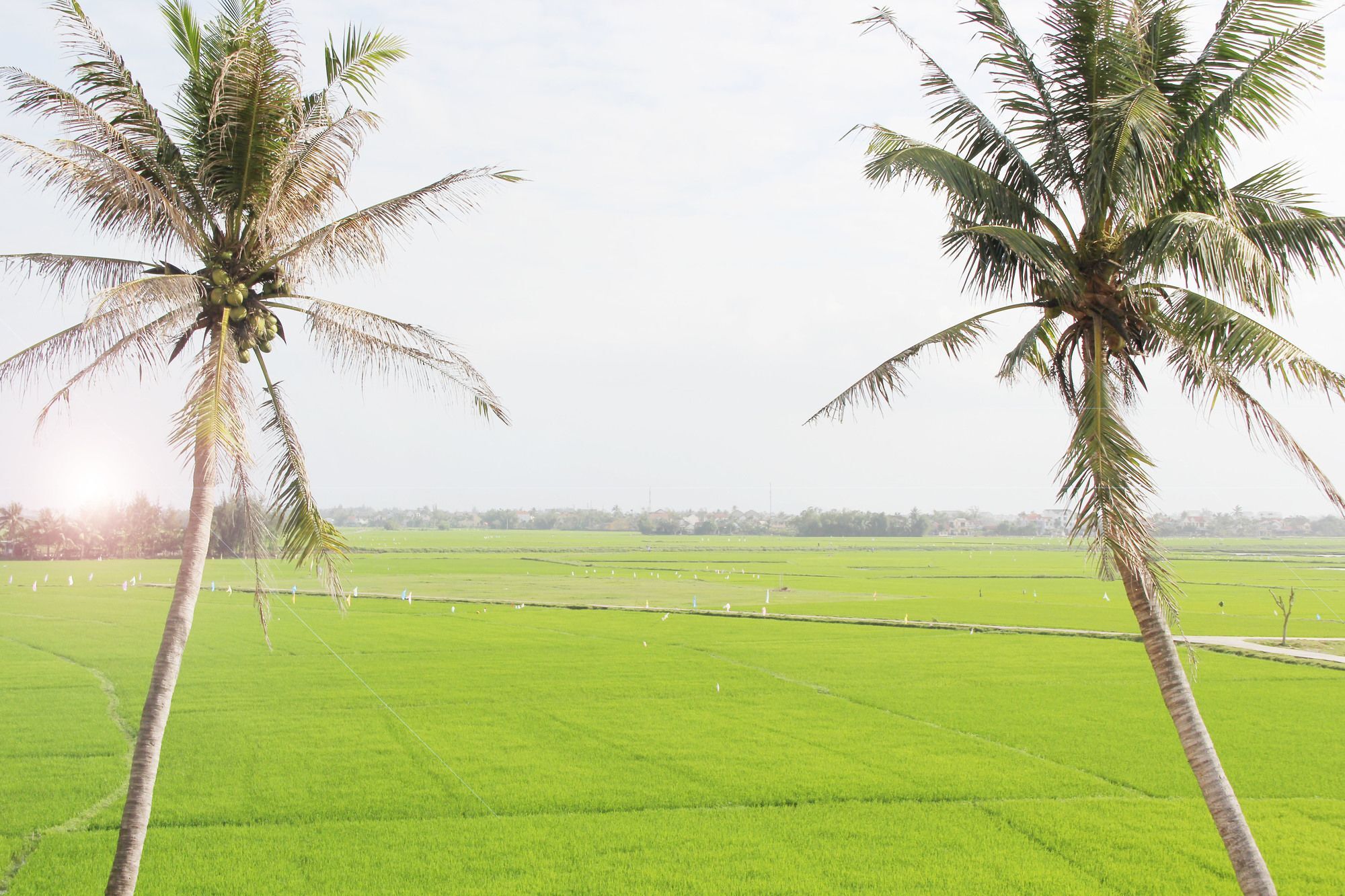 Hoi An Four Season Villa Luaran gambar